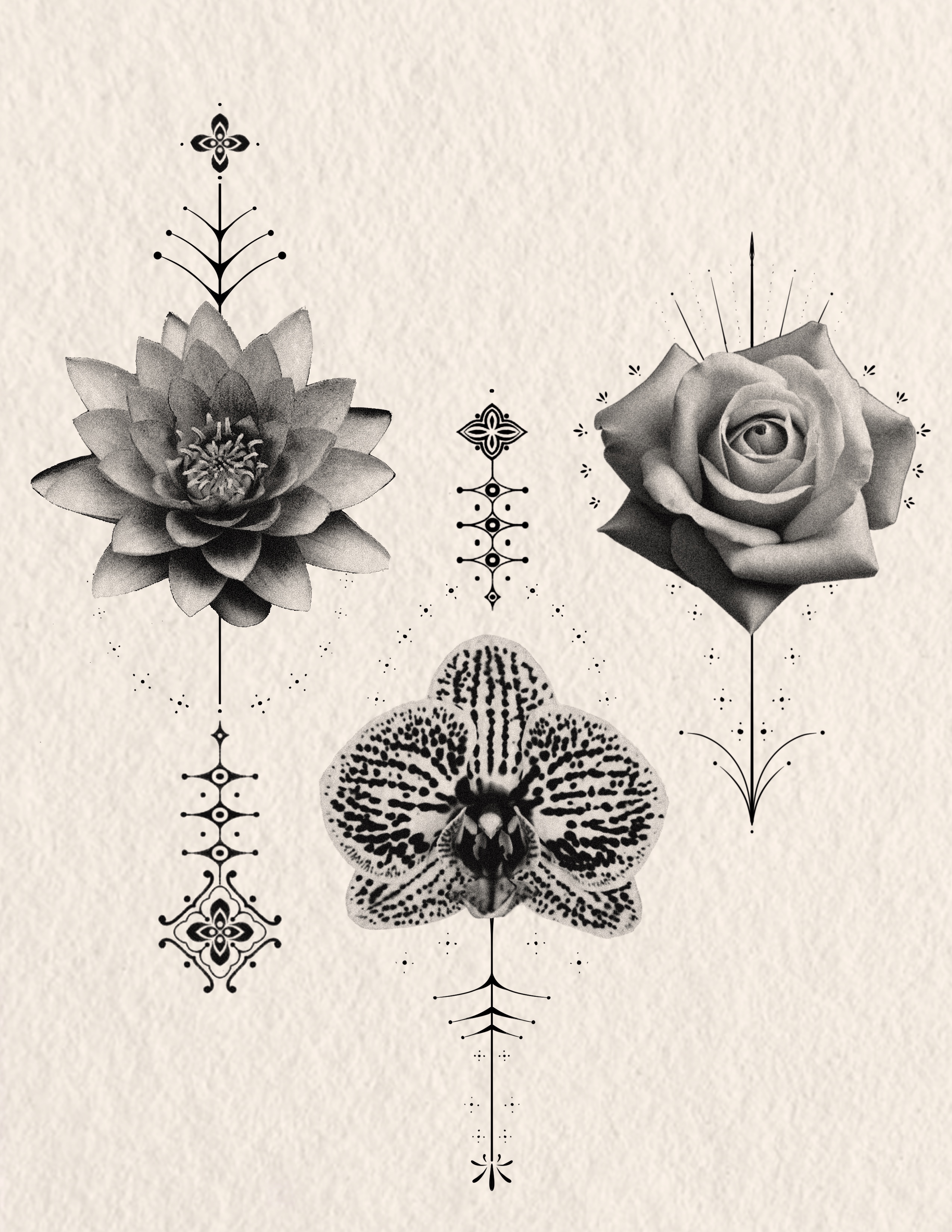 Ornamental Flash — Clean ornamental forms — available